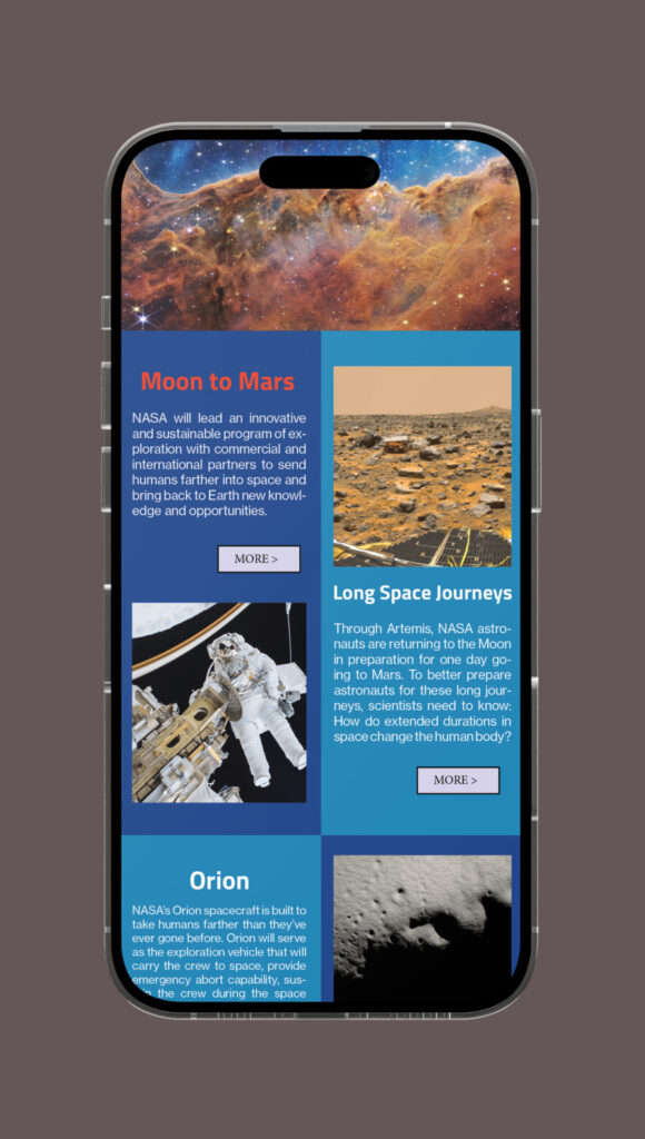 Newsletter for Nasa Mockup